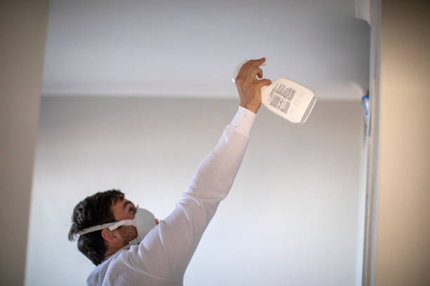 Best Mold Remediation Experts  in Fruita, CO